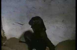 XXX شوهر زن فیلم سکسی انجمن لوتی باردار را لگد می زند و بیدمشک می دهد
