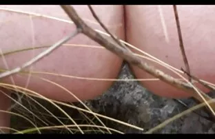XXX لزبین شیرین ماساژ جنسی را به یک دوست می دهد و فیلم آمیزشی خارجی گرانش بیدمشک او را نشان می دهد